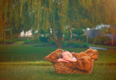 Basket boy - basket, tree, boy, autumn