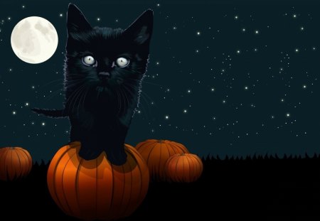 Halloween night - moon, autumn, scary, cat, pumpkin, eyes, light, night, black, fantasy, ginger, halloween, animal, orange