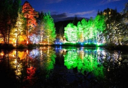 Colored-Lit Trees in Loch Dunmore - lit, trees, nature, lake, scotland, colors, reflection, loch dunmore