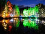 Colored-Lit Trees in Loch Dunmore