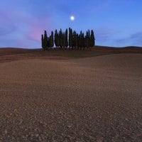 Cluster of Trees under Twilight Moon