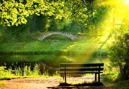 Bench lit by the morning sun - lakeshore, sun, riverbank, greenery, bench, shine, lit, reflection, river, green, sunny, grass, rays, morning, lake, light, shore, nature, glow, forest