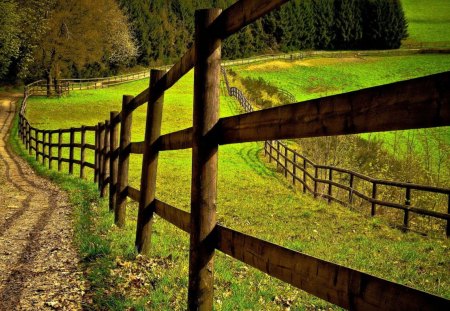 Summer meadow - nice, fence, greenery, field, meadow, path, lovely, road, nature, pretty, beautiful, green, grass