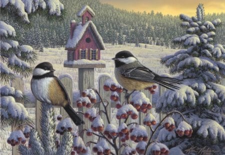 WINTER CHIKADEES - bird house, birds, winter, chikadees