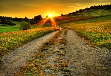 Sunrise over the field - nice, dazzling, sundown, sun, sunset, field, meadow, shine, road, path, pretty, grass, harmony, rays, light, lovely, bright, nature, glow, beautiful, sunrise