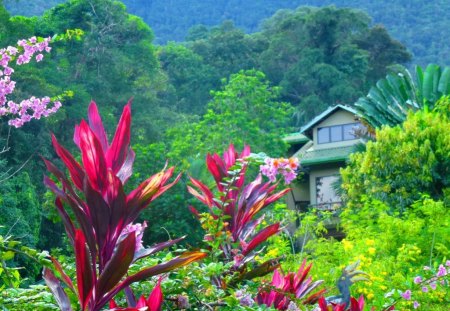 A house hidden among flowers and greenery - nice, cottage, hidden, greenery, pretty, green, house, harmony, mountain, summer, lovely, bushes, nature, floral, beautiful, cabin, flowers