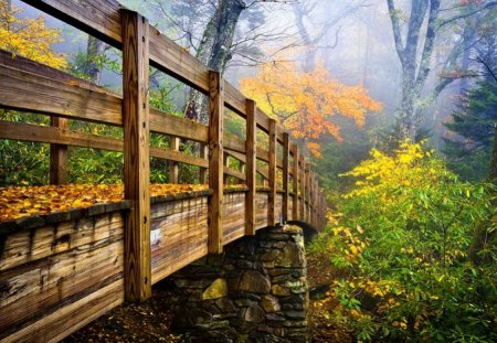 Bridge over the forest river - nice, autumn, trees, peaceful, water, stream, colorful, mist, foliage, creek, calm, fall, river, bridge, falling, lovely, serenity, nature, beautiful, leaves, stones