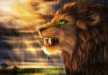 Lion - of, lion, jungle, animal, king