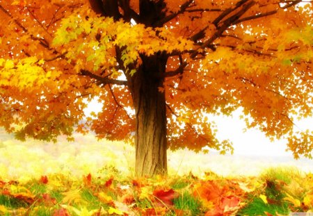 autumn - of, joys, season, autumn