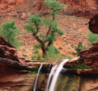 Cascade Waterfalls, Grand Canyon, Arizona