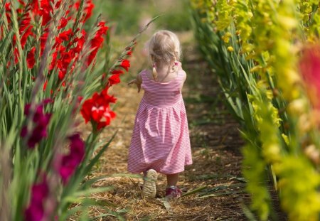 Flower among flowers - flowers, girl, little, flower, gladiola