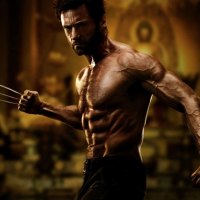 Wolverine