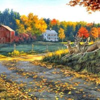 FARM AND FALL COLORS