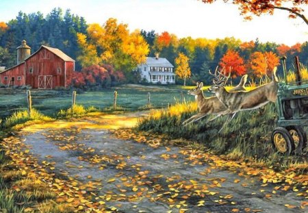 FARM AND FALL COLORS - farm, deer, leaves, autumn