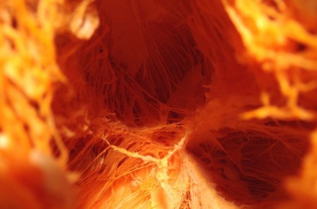 Inside A Fiery Pumpkin - scary halloween pumpkins, scary pumpkins, inside a fiery pumpkin, scary halloween, inside a pumpkin, halloween jack o lanterns, scary jack o lantern, halloween pumpkins, scary jack olantern