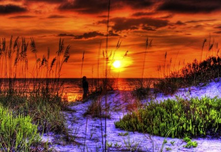 Dark orange sun - sky, dazzling, sundown, water, sunset, coast, amazing, reflection, evening, dark, orange, dusk, grass, sands, ocean, shore, nature, glow, red, sunrise, sea