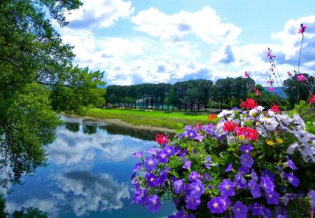 Sky reflection in river - sky, trees, riverbank, colorful, water, summer, shore, nature, reflection, river, green, flowers, grass