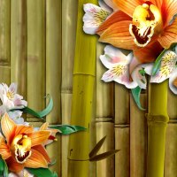 Orchids and Bamboo