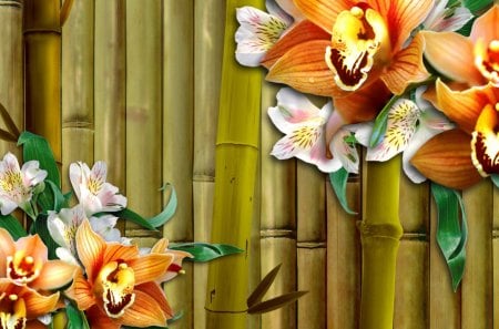 Orchids and Bamboo - orchids, blooms, sakura, blossoms, fleurs, orange, oriental, flowers, bamboo