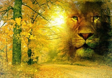 Leo - fall, animal, leo, autumn, lion, tree, cat