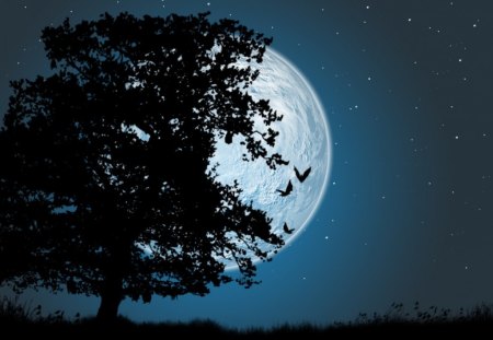 Night by JinxyWinxy - moon, bats, night, tree, sky