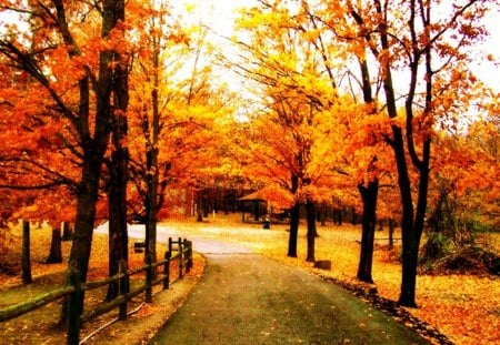 park - path, orange, park, autumn