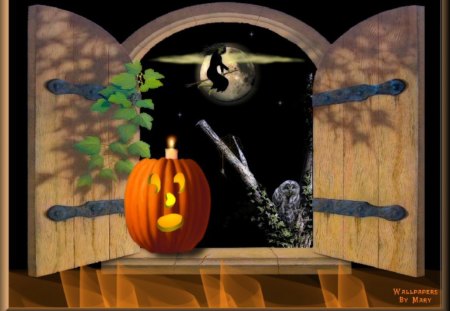 Halloween In The Window - witch, owls, windows, jackolantern, halloween, pumpkin