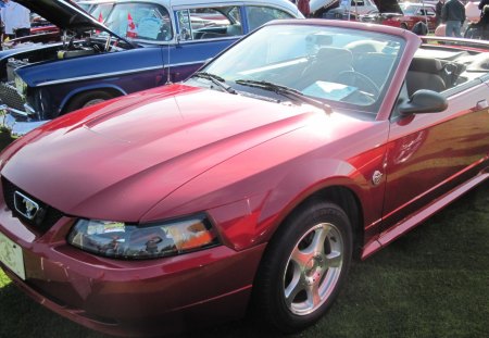 2004 Ford Mustang - black, Ford, tires, convertible, headlights, red, photography