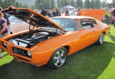 1968 Pontiac GTO - photography, tires, green, orange, pontiac, grass, black