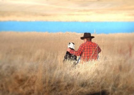 Companions - dog, field, grass, man