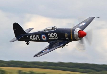 Hawker Sea Fury - hawker, fighter, royal australian navy, sea fury, ran