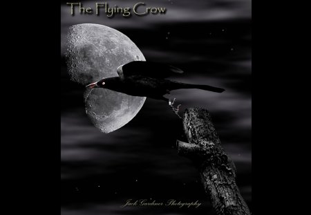 Flying Crow