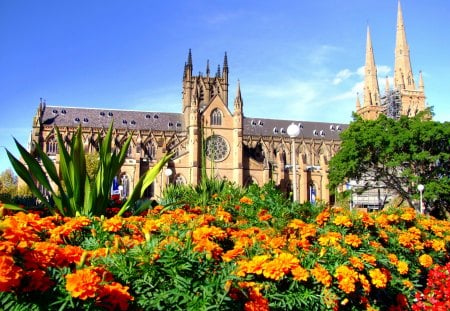 St Marys Sydney Australia - flowers, church, park, sky