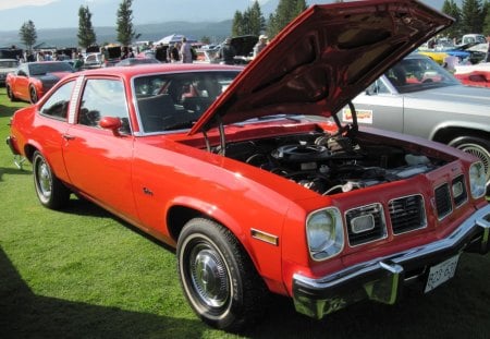 1975 Pontiac Ventura - headlights, red, black, tires, grass, photography, trees, pontiac, green