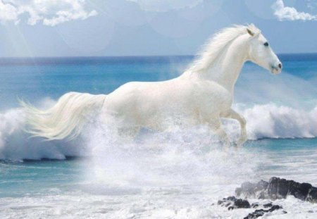 Breath Of The Wind - horses, beach, sea, other, animals