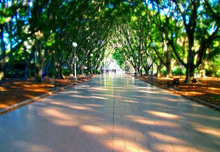 Hyde Park Pathway - path, trees, tiles, green