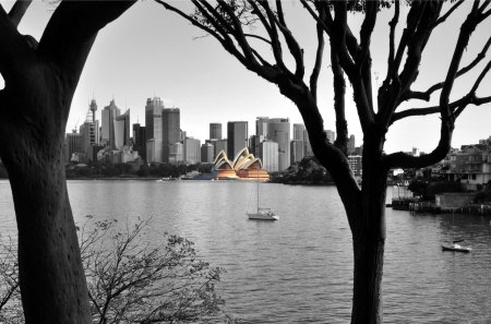 Not Everything Is Black And White - operahouse, water, tree, sky