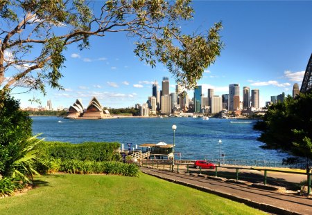 THE CITY OF SYDNEY - grass, car, water, tree