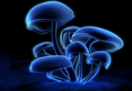 Blue mushroom - mushroom, neon, light, blue