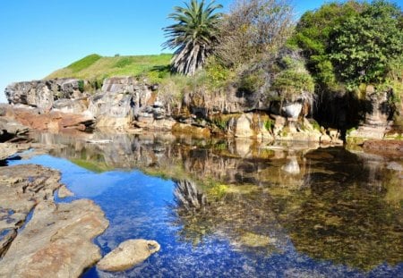 Natures Delight - water, tree, cave, rocks