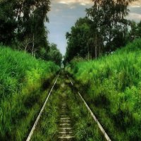 Natural Rail Road