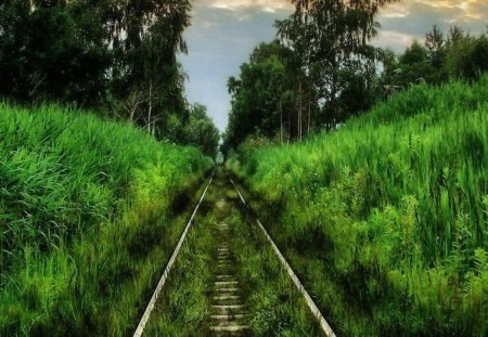 Natural Rail Road - green, road, natural, rail