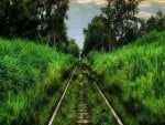 Natural Rail Road