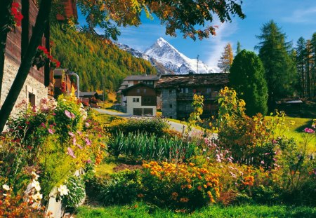 Beautiful place in the foot of the mountain - nice, cottage, autumn, slope, trees, greenery, fall, pretty, calmness, green, house, grass, snowy, harmony, summer, lovely, serenity, nature, village, floral, beautiful, villas, leaves, flowers, cabin