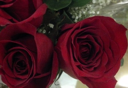 Pretty Red Roses - roses, white flower, red roses, r pink, purple, bouquet of roses, red, pink flowers, rose up close, pink flower, purple flower, purple flowers, white flowers, pink roses, red flower, bouquet, a dozen roses, white