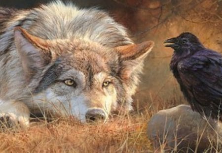 WOLF - wolf, crow, wildlife, autumn