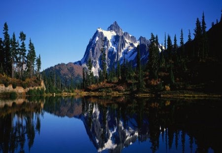 Mountain Reflection - forest, ground, daylight, grass, blue, lake, sky, reflection, trees, nature, mountain, day