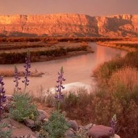 Canyon Wide Open Area, Utah