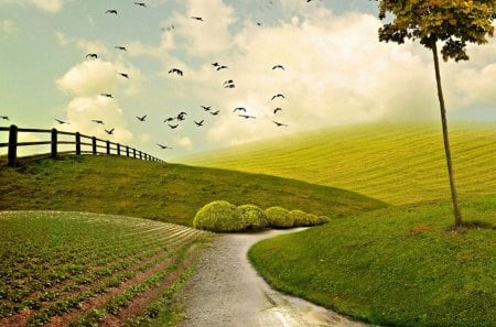 Taking a Walk - birds, blue, bushes, landscape, grass, walk, path, plants, field, sky, clouds, fence, daylight, tree, white, nature, green, day, animals