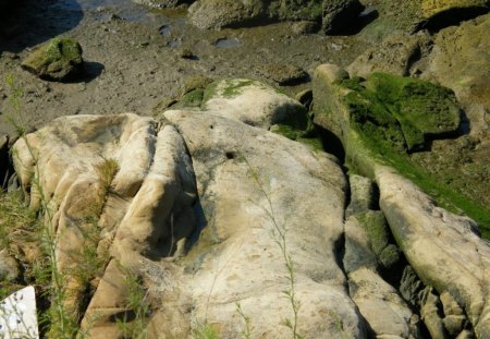 Moss& Rocks - 2007, shore, moss, rocks, benicia ca